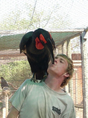 Wildlife Care, South Africa