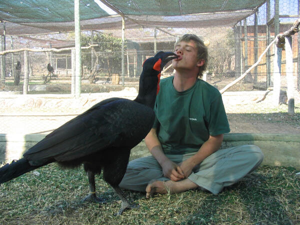 Wildlife Care, South Africa